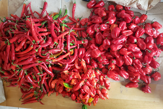 I think we have some peppers