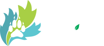 Furnal Equinox Pre-Orders are a go!